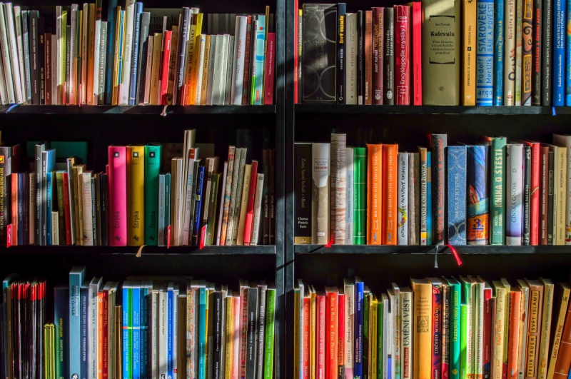 magasin-LA ROCHETTE-min_books_bookstore_book_reading_shop_writer_sale_books_read-822866